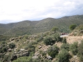 Bikecat-Marks-Tour-of-Catalunya-2019-108