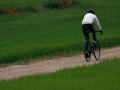Bikecat-Marks-Tour-of-Catalunya-2019-113
