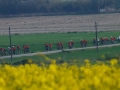 Bikecat-Marks-Tour-of-Catalunya-2019-119