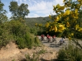 Bikecat-Marks-Tour-of-Catalunya-2019-125