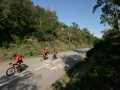 Bikecat-Marks-Tour-of-Catalunya-2019-128