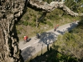 Bikecat-Marks-Tour-of-Catalunya-2019-129