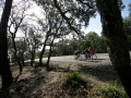 Bikecat-Marks-Tour-of-Catalunya-2019-131