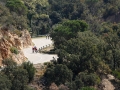 Bikecat-Marks-Tour-of-Catalunya-2019-136
