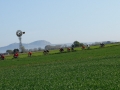 Bikecat-Marks-Tour-of-Catalunya-2019-143