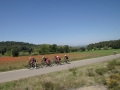 Bikecat-Marks-Tour-of-Catalunya-2019-156