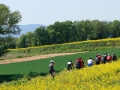 Bikecat-Marks-Tour-of-Catalunya-2019-158