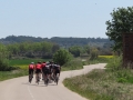 Bikecat-Marks-Tour-of-Catalunya-2019-160