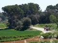Bikecat-Marks-Tour-of-Catalunya-2019-162