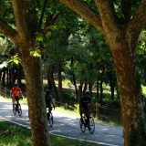 MireClub-Velo-Girona-2022-Bikecat-Cycling-Tours-137