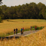 MireClub-Velo-Girona-2022-Bikecat-Cycling-Tours-189