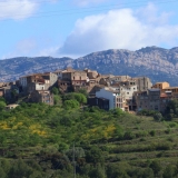 Bikecat-Priorat-Wine-Tour-028