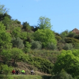 Bikecat-Priorat-Wine-Tour-031