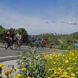 Bikecat-Priorat-Wine-Tour-032