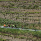 Bikecat-Priorat-Wine-Tour-048