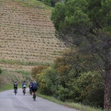 Bikecat-Priorat-Wine-Tour-059