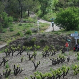 Bikecat-Priorat-Wine-Tour-060