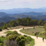 Bikecat-Priorat-Wine-Tour-061
