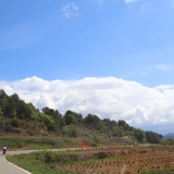Bikecat-Priorat-Wine-Tour-064