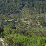 Bikecat-Priorat-Wine-Tour-108