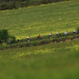 Bikecat-Priorat-Wine-Tour-126