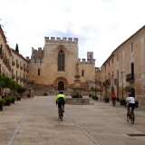 Bikecat-Priorat-Wine-Tour-128