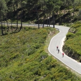 Bikecat-Priorat-Wine-Tour-145