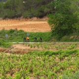 Bikecat-Priorat-Wine-Tour-152