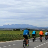 Bikecat-Priorat-Wine-Tour-153