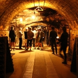 Bikecat-Priorat-Wine-Tour-161