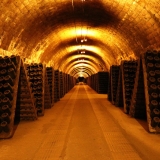 Bikecat-Priorat-Wine-Tour-162