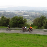 Bikecat-Priorat-Wine-Tour-163