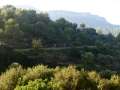 Bikecat-Mariposa-Priorat-Wine-Tour-2018-012