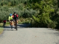 Bikecat-Mariposa-Priorat-Wine-Tour-2018-017