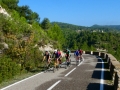 Bikecat-Mariposa-Priorat-Wine-Tour-2018-021