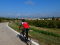 Bikecat-Mariposa-Priorat-Wine-Tour-2018-024