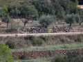 Bikecat-Mariposa-Priorat-Wine-Tour-2018-026