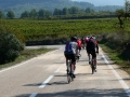 Bikecat-Mariposa-Priorat-Wine-Tour-2018-027