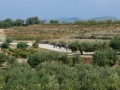 Bikecat-Mariposa-Priorat-Wine-Tour-2018-028