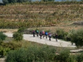 Bikecat-Mariposa-Priorat-Wine-Tour-2018-029
