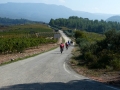 Bikecat-Mariposa-Priorat-Wine-Tour-2018-033