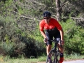 Bikecat-Mariposa-Priorat-Wine-Tour-2018-086