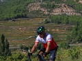 Bikecat-Mariposa-Priorat-Wine-Tour-2018-100