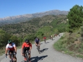 Bikecat-Mariposa-Priorat-Wine-Tour-2018-102