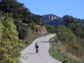 Bikecat-Mariposa-Priorat-Wine-Tour-2018-114