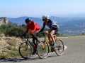 Bikecat-Mariposa-Priorat-Wine-Tour-2018-120