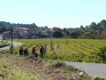 Bikecat-Mariposa-Priorat-Wine-Tour-2018-148