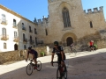 Bikecat-Mariposa-Priorat-Wine-Tour-2018-150