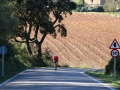 Bikecat-Mariposa-Priorat-Wine-Tour-2018-159