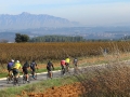 Bikecat-Mariposa-Priorat-Wine-Tour-2018-177